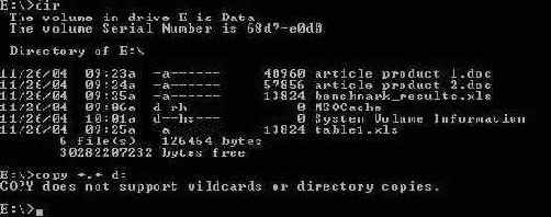   (Recovery Console)